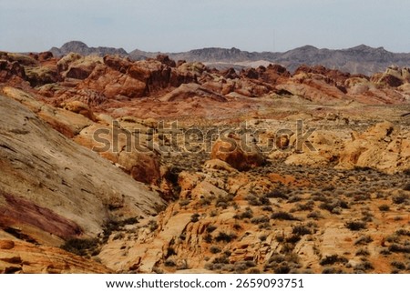 Multicoloured view of the different rock types of the Valley of Fire state Park. Nevada, at Rainbow vista.