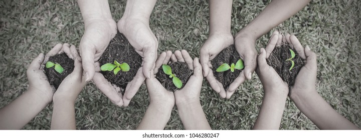 Multicultural hands of adult and children holding young plant over green grass background. Earth day environment friendly harmony together spring black and white plant base concept panoramic banner.