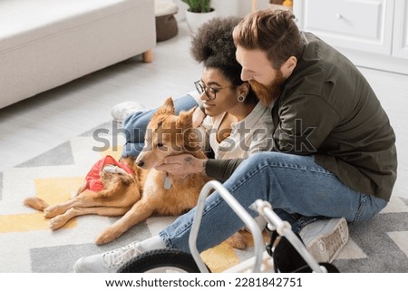 Multiethnic couple talking while sitting near disabled dog at home