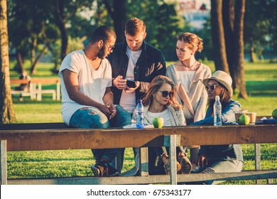 multiethnische Gruppe von Freunden in einem Park