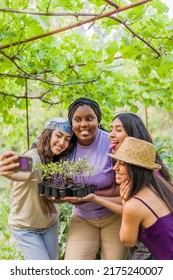 Multiethnic Volunteer Group Selfie. Friendship Teamwork In Urban Garden. Latin And Moroccan Women
