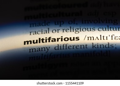 multifarious word in a dictionary. multifarious concept. - Shutterstock ID 1155441109