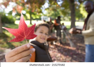 Multi-generational family collecting autumn leaves in garden, focus on boy holding red maple leaf in foreground - Powered by Shutterstock