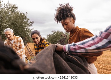 Multigenerational and multiracial farmers working together during the olive harvest, holding a canvas to collect the olives falling from the trees - Powered by Shutterstock