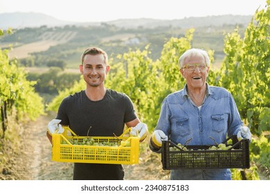 Multigenerational workers collecting grapes for oganic wine production - Tradition, farmer lifestyle and small business concept - Focus on faces - Powered by Shutterstock