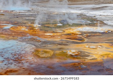 Multi-hued microorganisms thrive on the steaming hot and acidic waters at Porcelain Springs, Norris Geyser Basin, Yellowstone National Park, WY