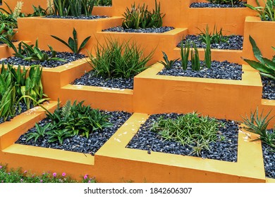 Multilevel Concrete Flower Bed Decorated With Cacti And Gravel.