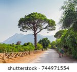 Multinational group of three tourists exploring nature of Turkey, while travelling by Lycian Way in Chirali