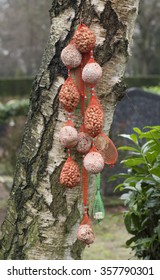 multiple bird feed balls hanging in a tree 