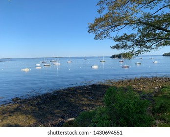 Multiple Boats Docked In The Bay