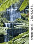 Multiple cascades of Russell Falls, Tasmania, Australia seen through fern leaves. Beautiful, pristine waterfall in southern Tasmania. Water flows in multiple streams forming a stunning waterfall. 