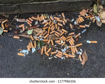 Multiple cigarette butts discarded on the ground. One of the worst ocean pollutants.