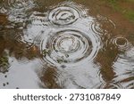 Multiple circular wave patterns effect of raindrops falling on a shallow water surface, creating concentric ripples. 
