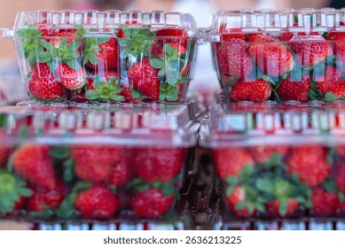 Multiple clear plastic containers filled with bright red organic strawberries. The tops of the berries have green hulls and leaves. The ripe fruit is for sale at a grocery store or farmer's market.