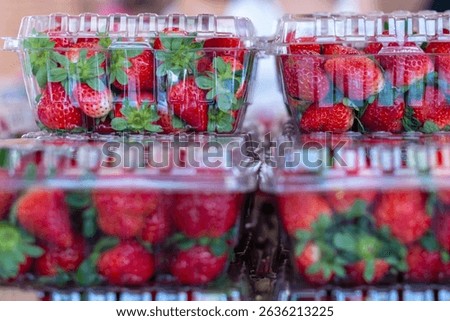 Multiple clear plastic containers filled with bright red organic strawberries. The tops of the berries have green hulls and leaves. The ripe fruit is for sale at a grocery store or farmer's market.