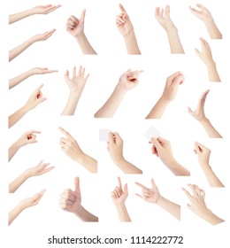 multiple collection hand of woman in gesture isolated on white background - Shutterstock ID 1114222772
