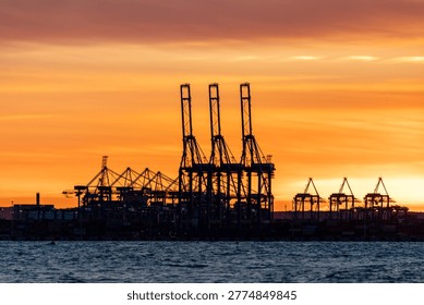 Multiple container cranes at sunset forming industrial skyline over water