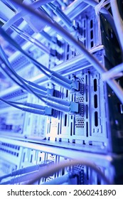 Multiple data cables plugged into network switches