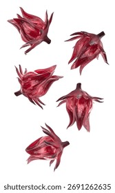 Multiple deep red roselle calyxes, also known as flor de jamaica or hibiscus flowers, isolated and creatively arranged on a solid white background.