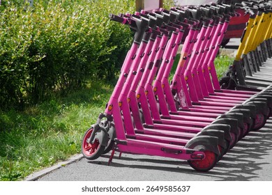 Multiple dockless electric kickscooters lined up along a paved city sidewalk next to green grass and shrubs, illustrating rental transport. Photo
