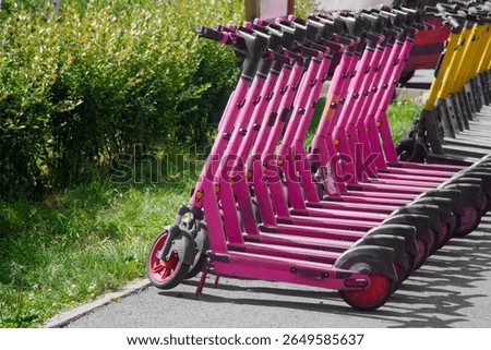 Multiple dockless electric kickscooters lined up along a paved city sidewalk next to green grass and shrubs, illustrating rental transport. Photo