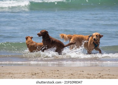 8,051 Multiple beaches Images, Stock Photos & Vectors | Shutterstock