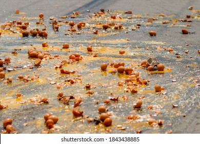 Multiple Eggs Crashed On The Road Due To An Accident In An Egg Delivery Truck That Was About To Deliver Eggs To Restaurants In The Morning. Concept Of Accidental Loss And Delay