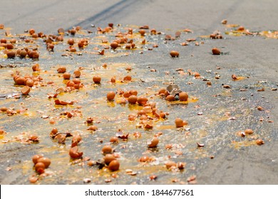 Multiple Eggs Crashed On The Road Due To An Accident In An Egg Delivery Truck That Was About To Deliver Eggs To Restaurants In The Morning. Concept Of Accidental Loss And Delay