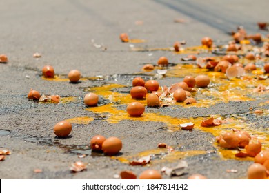 Multiple Eggs Crashed On The Road Due To An Accident In An Egg Delivery Truck That Was About To Deliver Eggs To Restaurants In The Morning. Concept Of Accidental Loss And Delay