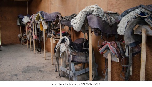 Multiple English Style Horse Saddles In The Tack Room.