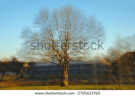 Multiple exposure, Abstract, Bare tree, Surreal, Cyan, Winter, Suburban house, Artistic, Double exposure, Ethereal, Nature, Architecture, Dreamlike, Moody, Branch, Light, Overlay, Minimalist, Pale ora