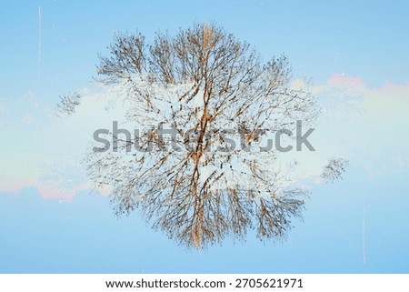 Multiple exposure, Abstract, Bare tree, Surreal, Cyan, Winter, Suburban house, Artistic, Double exposure, Ethereal, Nature, Architecture, Dreamlike, Moody, Branch, Light, Overlay, Minimalist, Pale ora