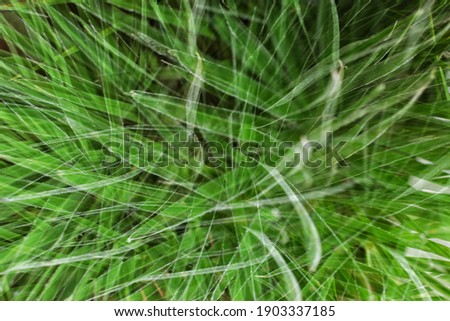 Similar – Image, Stock Photo lightning rain Nature