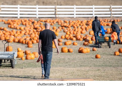 Multiple Families On The Pumpkin Patch Rural Farm.