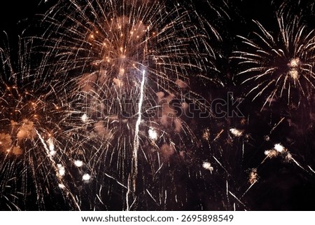 Multiple fireworks explode in shimmering bursts against a dark sky, painting the city below with light. The brilliance of gold and red sparks reflects on the riverside, creating an atmosphere of celeb