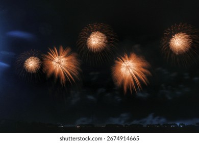 Multiple Fireworks Exploding Together in Night Sky Celebration