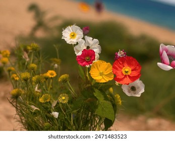 Multiple of flower background for copy space decorative and design, wallpaper, wedding, romantic, vintage