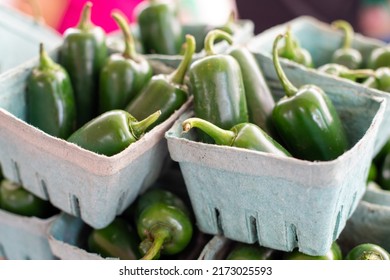 Multiple green cardboard boxes of raw green jalapeno peppers harvested and for sale at a farmers market. The organic chili peppers are pod shaped with smooth flesh skin, stems and green colored.