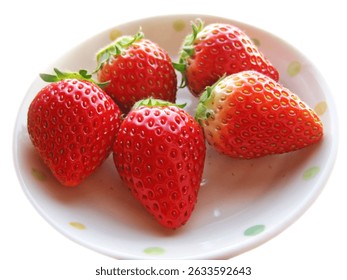  Multiple hefty strawberries on a white plate                              