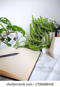 Multiple indoor plants and a blank notebook on a office desk in a bright white interior creating a no stress work environment