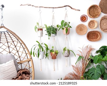 Multiple Macrame Plant Hangers With Indoor Houseplants And Pot Planters Are Hanging From A Metal Pole. Boho Basket Wall Decor And Wicker Egg Chair Are Use To Add Character To The Cozy Bohemian Room.