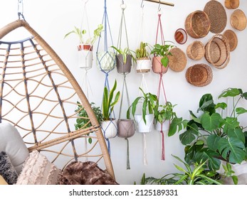 Multiple Macrame Plant Hangers With Indoor Houseplants And Pot Planters Are Hanging From A Metal Pole. Boho Basket Wall Decor And Wicker Egg Chair Are Use To Add Character To The Cozy Bohemian Room.