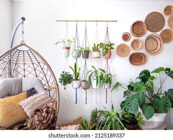 Multiple macrame plant hangers with indoor houseplants and pot planters are hanging from a metal pole. Boho basket wall decor and wicker egg chair are use to add character to the cozy bohemian room. - Shutterstock ID 2125189337