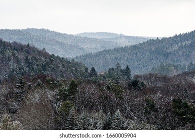 Multiple mountain ranges in winter, snow covered tree tops, compressed view, with haze, close up