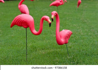 Multiple Pink Plastic Flamingos On A Lawn.