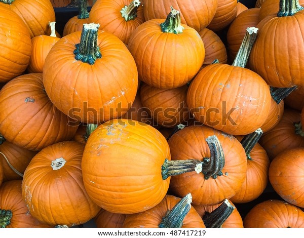 Multiple Pumpkins Barn Above Stock Photo Edit Now 487417219