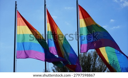 Multiple rainbow pride flags fluttering against a clear blue sky, celebrating LGBTQ+ love, freedom, equality and diversity while expressing solidarity, identity and human rights