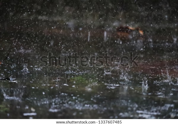 Multiple Raindrops Falling On Concrete Floor Stock Photo 1337607485 ...