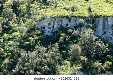 Multiple rectangular tomb entrances carved into a rocky cliffside in Pantalica, partially hidden by dense vegetation and surrounding trees.