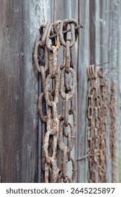 Multiple Rusty Chains Hanging on Weathered Wooden Wall – Close-Up of Rural Industrial Decay and Strong Textural Elements for Background Use